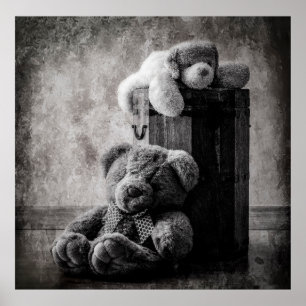 Póster Osos de peluche
