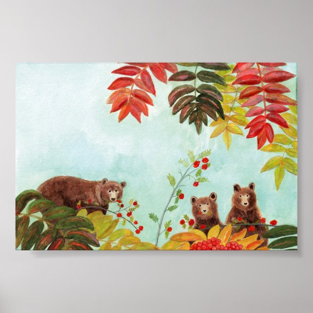 Póster Osos marrones comiendo bayas rojas (Frente)
