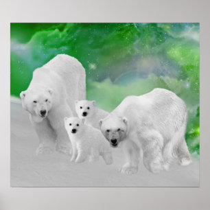 Póster Osos polares, cachorros y aurora boreal