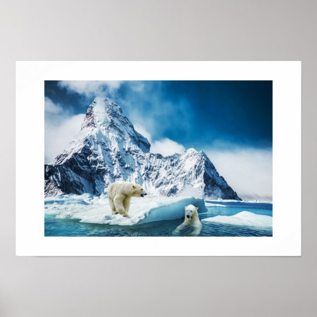 Póster Osos posters-polares (Frente)