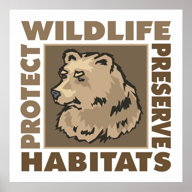 Póster Osos - Proteger los hábitats de conservación de vi (Frente)