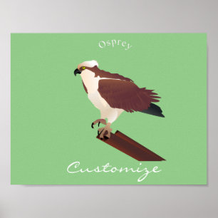 Póster Osprey Hawk Raptor Thunder_Cove