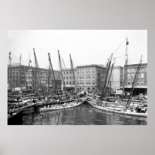 Póster Ostra Luggers
