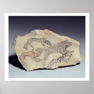 Póster Ostracon que representa un perro que persigue un