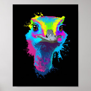 Póster Ostrich Colorful Bird Lover Ostriches