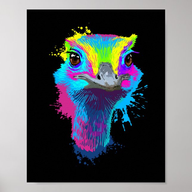Póster Ostrich Colorful Bird Lover Ostriches (Frente)