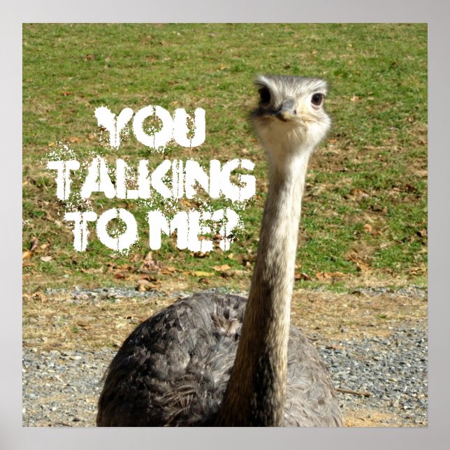Póster Ostrich ¿Estás hablando conmigo? (Frente)