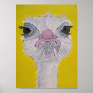 Póster Ostrich Face