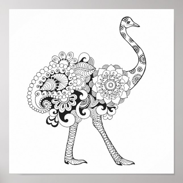 Póster Ostrich inspirado 2 (Frente)