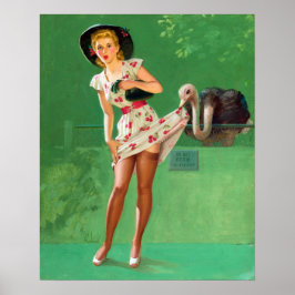 Póster Ostrich Pin Up