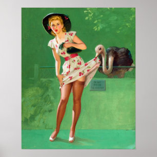Póster Ostrich Pin Up