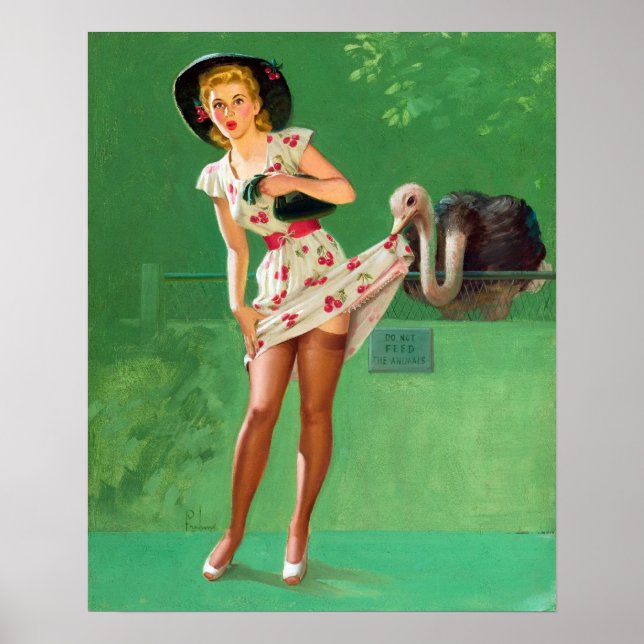Póster Ostrich Pin Up (Frente)