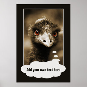 Póster Ostriches Aspecto poster personalizado