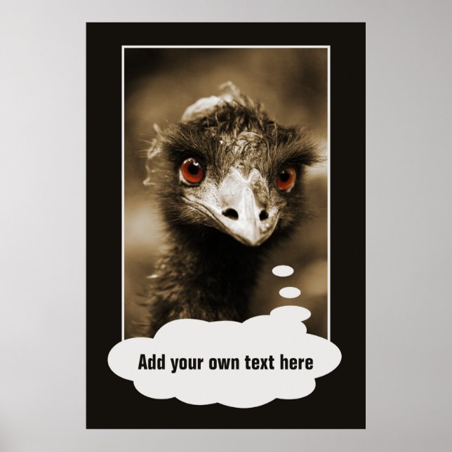 Póster Ostriches Aspecto poster personalizado (Frente)