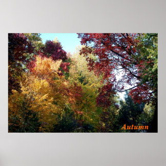 Póster Otoño
