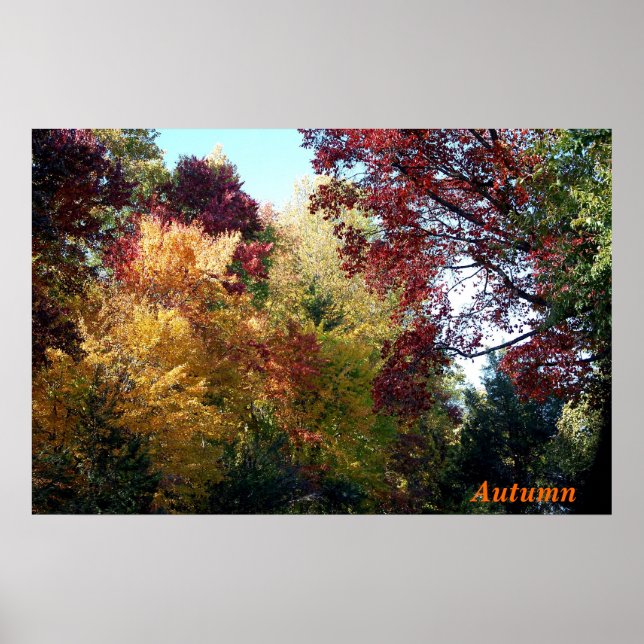 Póster Otoño (Frente)