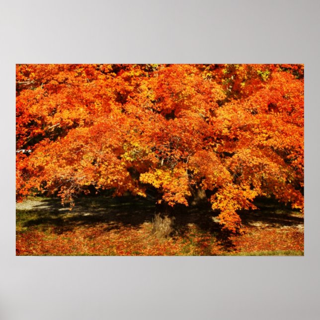 Póster Otoño (Frente)