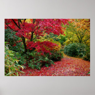 Póster Otoño