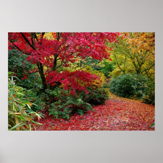 Póster Otoño (Frente)