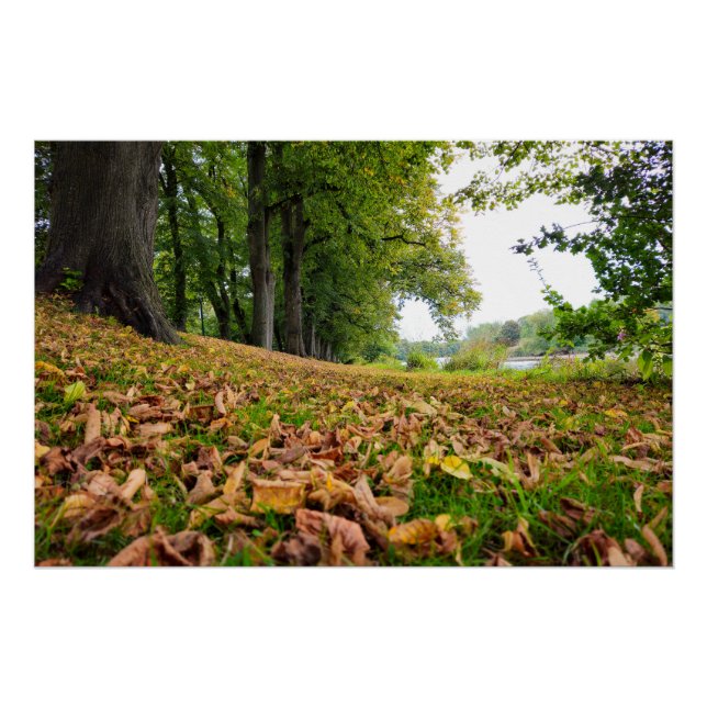 Póster Otoño (Anverso)