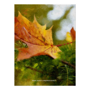 Póster Otoño