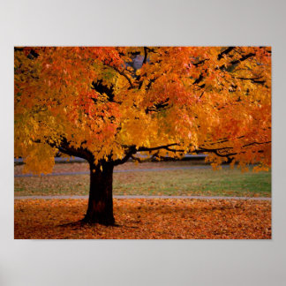 Póster otoño (1)