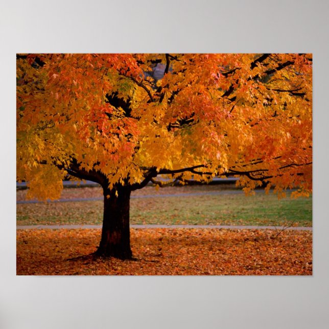 Póster otoño (1) (Frente)