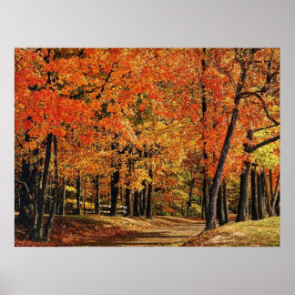 Póster Otoño 30 chocado