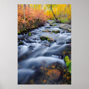 Póster Otoño a lo largo de Lundy Creek, California