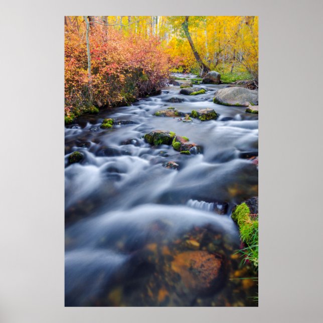 Póster Otoño a lo largo de Lundy Creek, California (Frente)