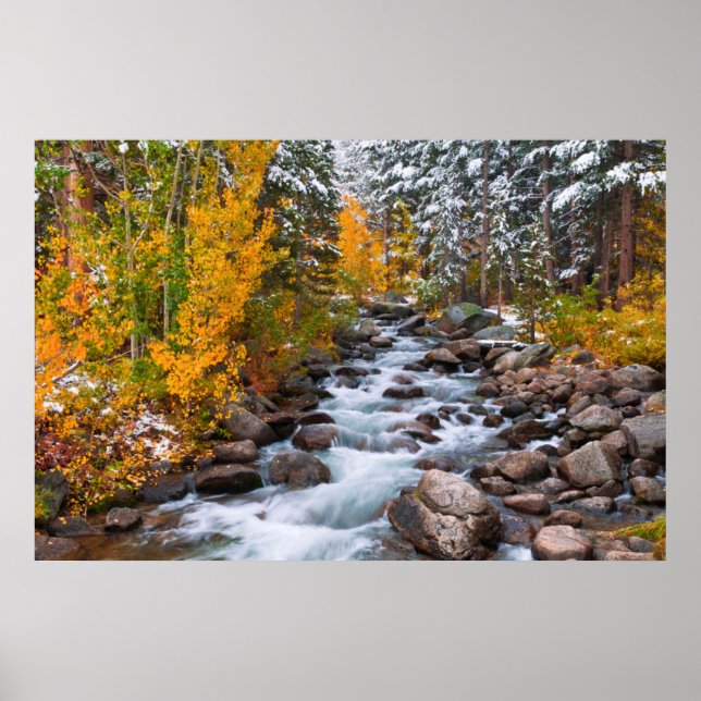 Póster Otoño a lo largo del arroyo Bishop, California (Frente)