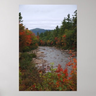 Póster Otoño al río