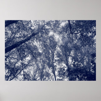 Póster Otoño Azul