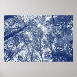 Póster Otoño azul - Efecto cianotipio