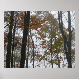 Póster Otoño Brumoso en la Naturaleza de Otoño de Pensilv