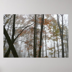 Póster Otoño Brumoso en la Naturaleza de Otoño de Pensilv