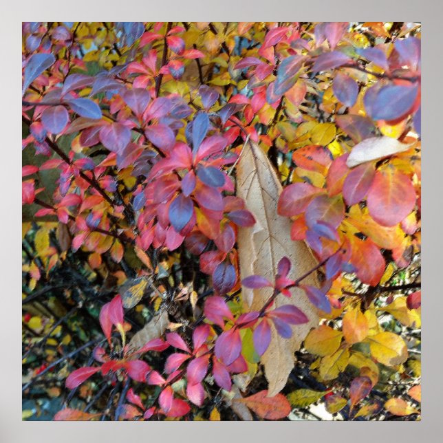Póster otoño colorido (Frente)