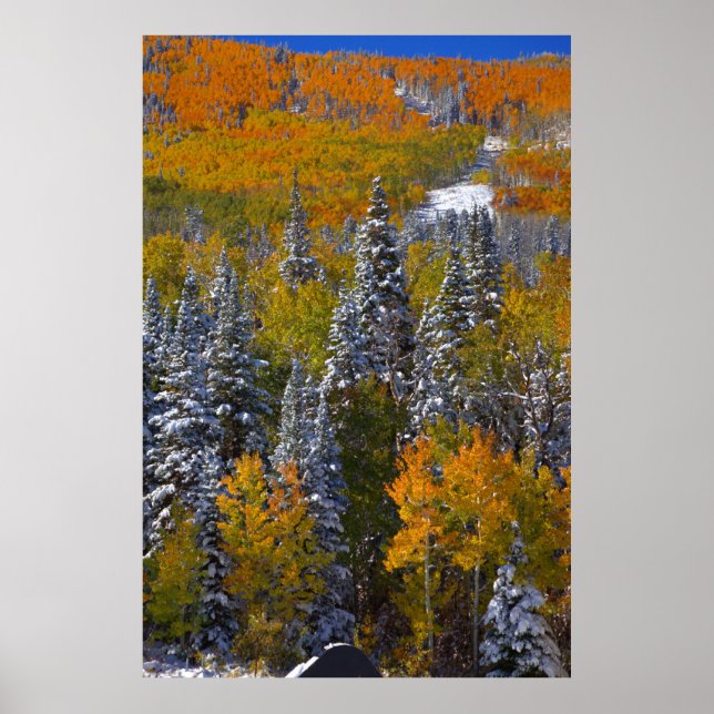 Póster Otoño de Colorado (Frente)