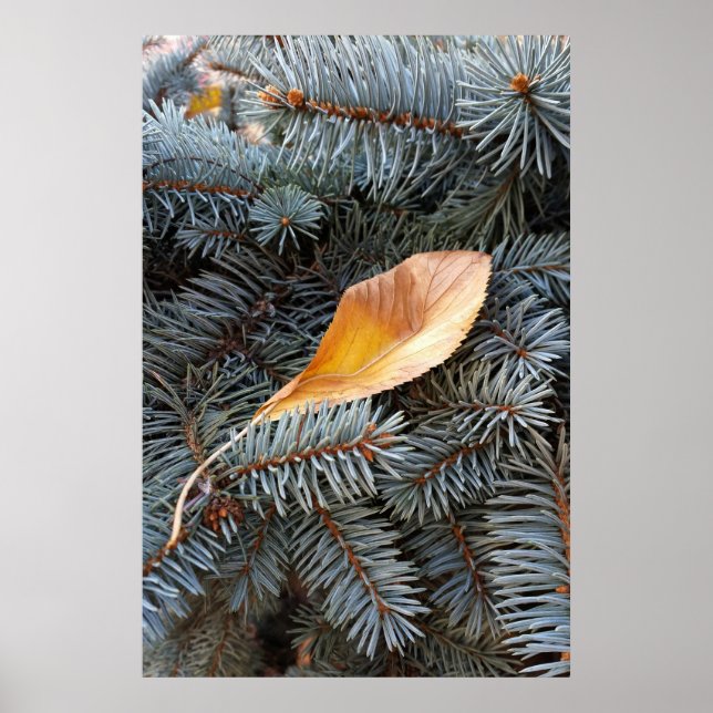 Póster otoño e invierno (Frente)