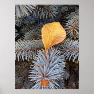 Póster otoño e invierno