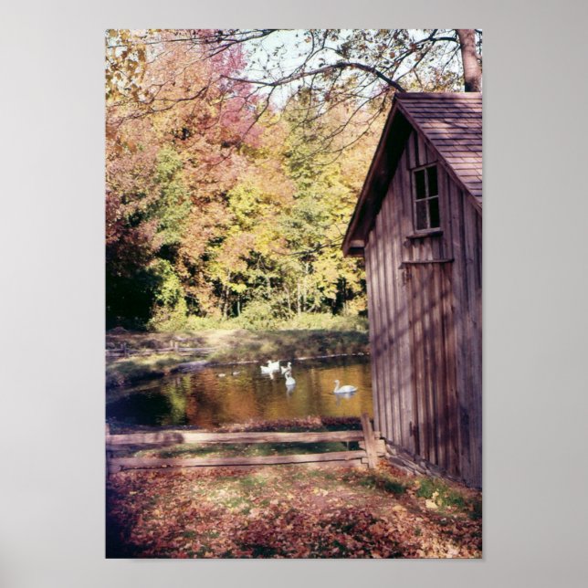 Póster Otoño en Bronte Creek (Frente)