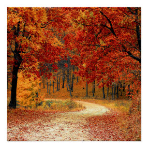 Póster otoño en el bosque