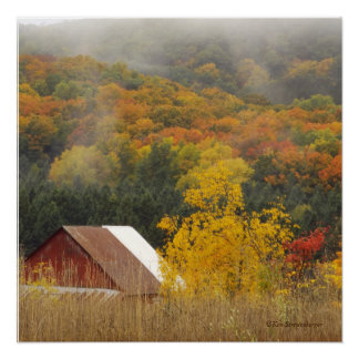 PÓSTER "OTOÑO EN EL CAMPO"