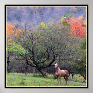 Póster Otoño en el huerto del caballo