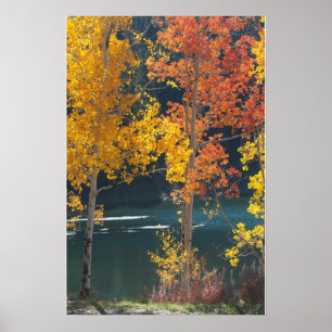 Póster Otoño en el lago Bear