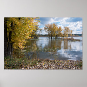 Póster Otoño en el lago de los perros negros
