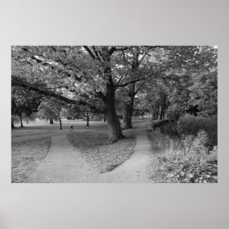 Póster Otoño en el parque - Negro y Blanco