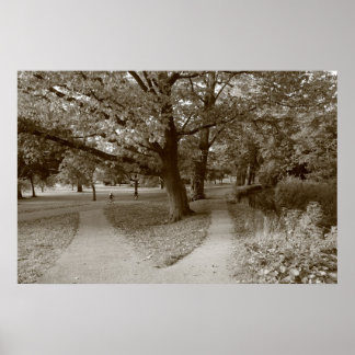 Póster Otoño en el parque - Sepia Toned BW