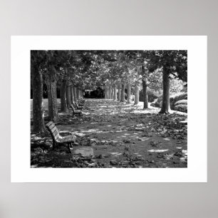 Póster Otoño en el parque: Tokio