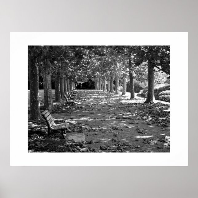 Póster Otoño en el parque: Tokio (Frente)